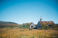 Maison viking