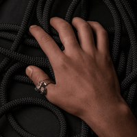 Bague bronze avec loup Fenrir
